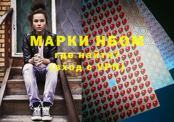 амф Верея