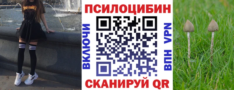 Галлюциногенные грибы прущие грибы  закладка  Каргат 